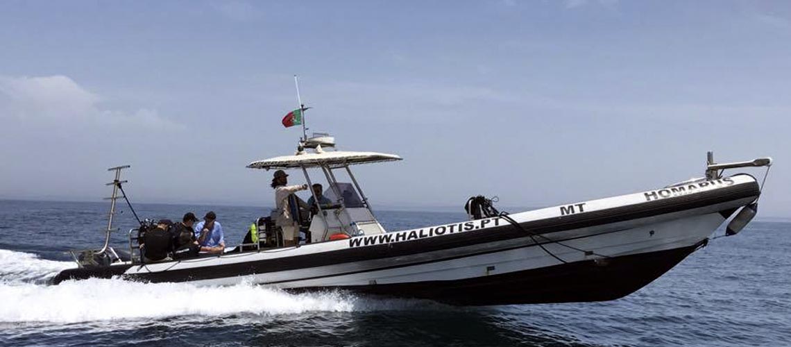 Embarcação Homarus