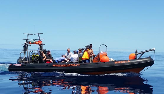 Embarcação Semi-rigida Rhincodon